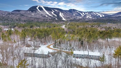 (private lake, pond, coastal) Townhome/Townhouse For Sale in Newry Maine