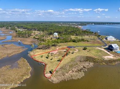 Three waterfront lots with stunning views and endless - photo 6