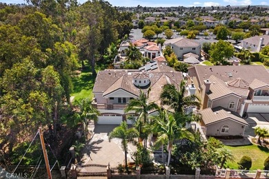 Extraordinary custom estate offering 5,316 sq. ft. of elegant - photo 1