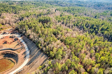 Strom Thurmond / Clarks Hill Lake Acreage For Sale in Appling Georgia