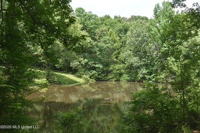 The Little Coldwater 50 acres has a little bit of everything! - photo 2