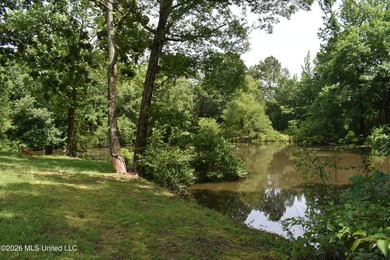 The Little Coldwater 50 acres has a little bit of everything! - photo 3