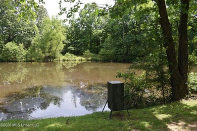 The Little Coldwater 50 acres has a little bit of everything! - photo 4
