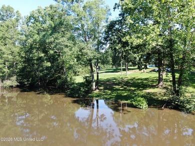 The Little Coldwater 50 acres has a little bit of everything! - photo 5