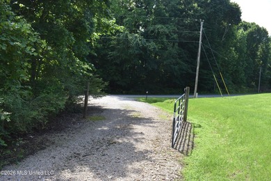 The Little Coldwater 50 acres has a little bit of everything! - photo 6