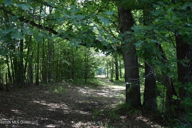The Little Coldwater 50 acres has a little bit of everything! - photo 7
