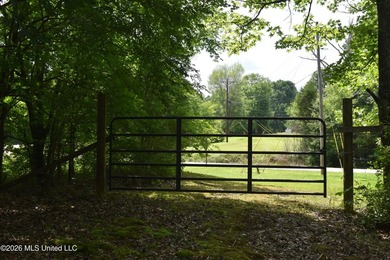 The Little Coldwater 50 acres has a little bit of everything! - photo 8
