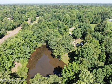 The Little Coldwater 50 acres has a little bit of everything! - photo 9