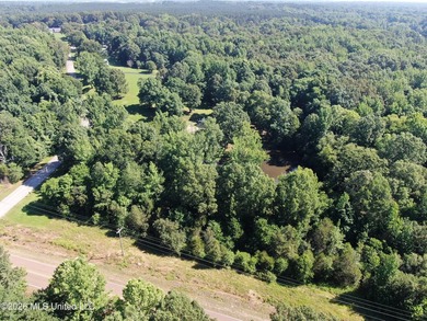 The Little Coldwater 50 acres has a little bit of everything! - photo 10