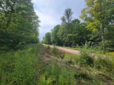 Bond Falls Reservoir Acreage Sale Pending in Trout Creek Michigan