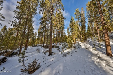 Shadow Mountain Lake Lot Sale Pending in Grand Lake Colorado