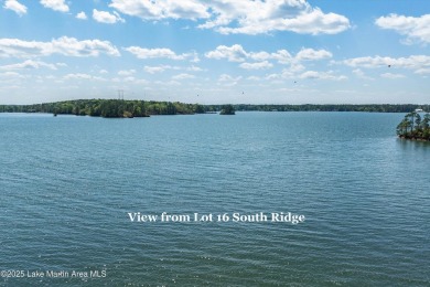 Lake Lot For Sale in Alexander City, Alabama