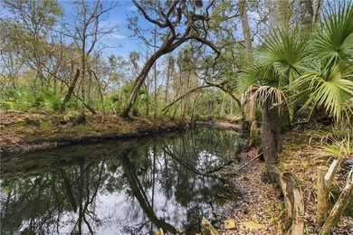 Awesome waterfront property featuring a 3-story home with Gulf - photo 3