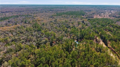 Awesome waterfront property featuring a 3-story home with Gulf - photo 9