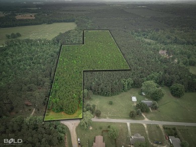 Discover the perfect blend of privacy, space, and opportunity - photo 1