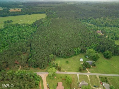 Discover the perfect blend of privacy, space, and opportunity - photo 2