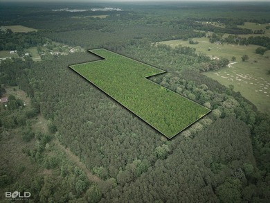Discover the perfect blend of privacy, space, and opportunity - photo 9