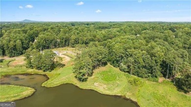 Lake Lot For Sale in Milton, Georgia