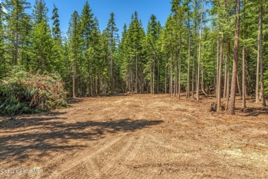 Lake Pend Oreille Acreage For Sale in Clark Fork Idaho