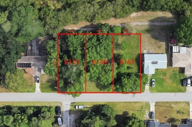 To Be Built - Pre-Construction Opportunity in Sea Pines Seize - photo 5