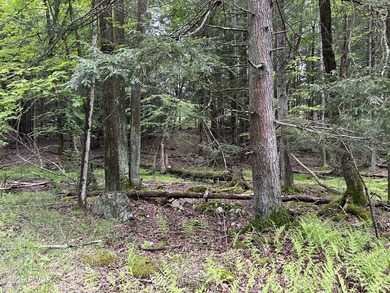 Indian Rocks Community! This building lot is on a quiet road in - photo 3