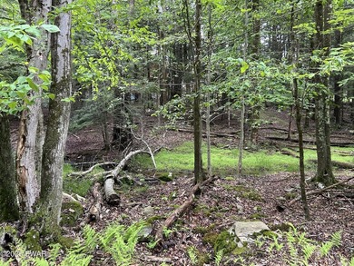 Indian Rocks Community! This building lot is on a quiet road in - photo 4