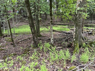 Indian Rocks Community! This building lot is on a quiet road in - photo 5