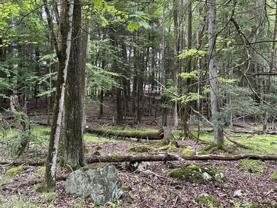 Indian Rocks Community! This building lot is on a quiet road in - photo 6