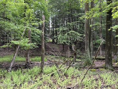 Indian Rocks Community! This building lot is on a quiet road in - photo 7