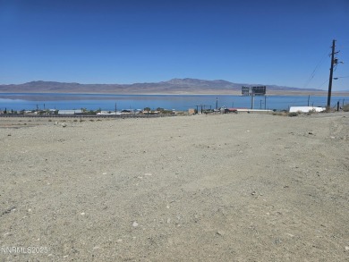 Walker Lake Lot For Sale in Walker Lake Nevada