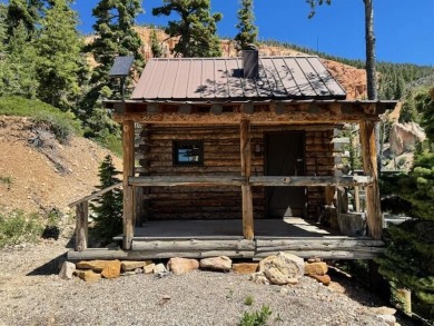 Lake Home For Sale in Duck Creek, Utah