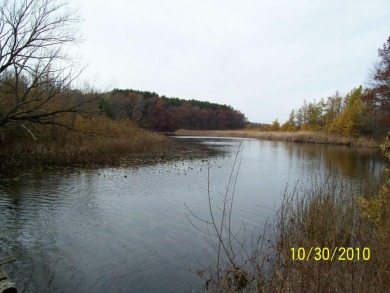 Lake Acreage Off Market in Jackson, Michigan