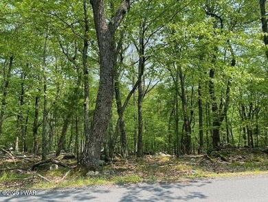 Pocono Woodlands Lake  Lot For Sale in Milford Pennsylvania