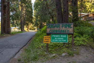 Income-Producing Mountain Retreat Near YosemiteTucked among the - photo 2