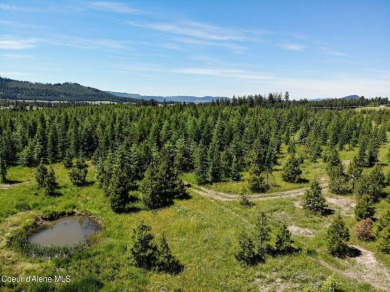Coeur d Alene Lake Acreage For Sale in Harrison Idaho