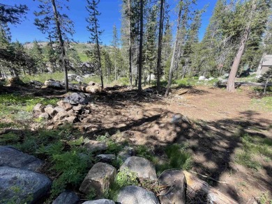 Lake Lot For Sale in Soda Springs, California