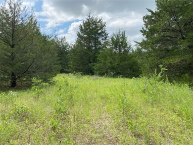 Lake Tawakoni Lot For Sale in East Tawakoni Texas