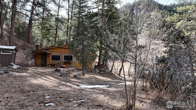 (private lake, pond, creek) Lot For Sale in Drake Colorado