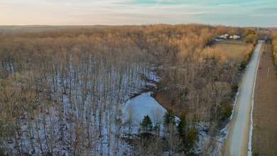Major Price Reduction! Double Draw Farm spans 40.8+/- acres and - photo 8