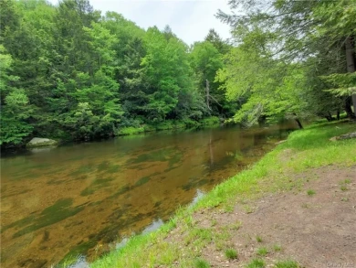 10 Acres Lot with Neversink River Rights - Lake Lot For Sale in Fallsburg, New York