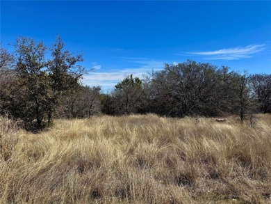 Lake Lot For Sale in Bluff Dale, Texas