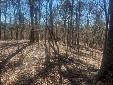 Come enjoy 21.9 +/- acres located near Beaver Lake. This - photo 11