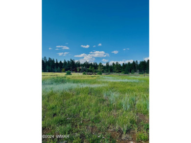 Lake Lot For Sale in Pinetop, Arizona