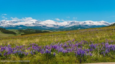 (private lake, pond, creek) Acreage For Sale in Buffalo Wyoming