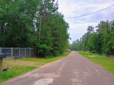 Golf Cart Friendly, Private Lake Community, Developed Lot - photo 5