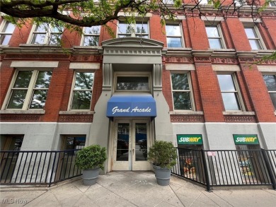 Lake Erie - Cuyahoga County Condo For Sale in Cleveland Ohio