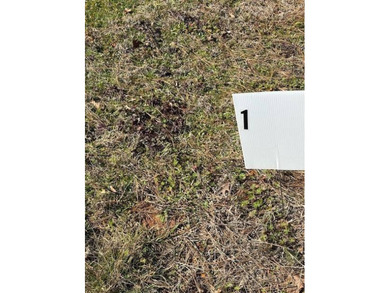 Toledo Bend Reservoir Lot For Sale in Many Louisiana