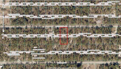 Bonable Lake Lot For Sale in Dunnellon Florida