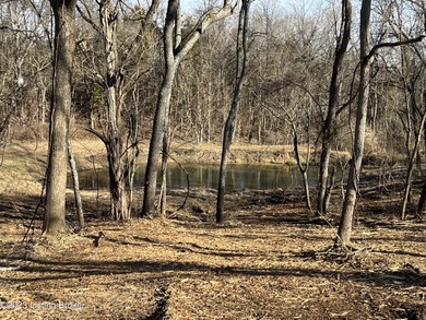 (private lake, pond, creek) Acreage For Sale in Bedford Kentucky