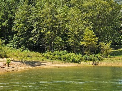 Lake Lot For Sale in Jasper, Alabama